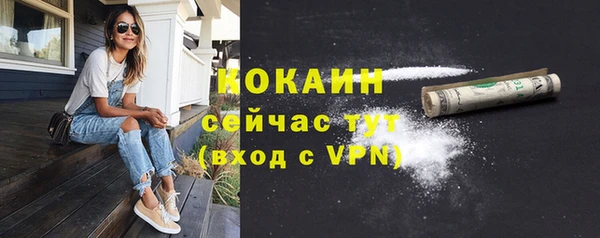 spice Алексин
