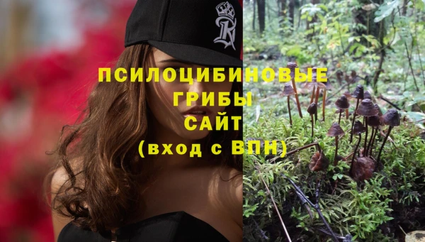 spice Алексин