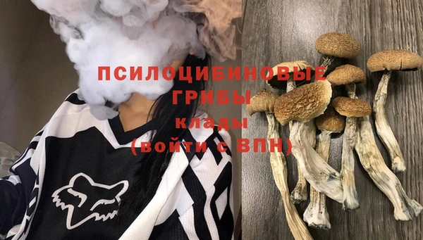 spice Алексин